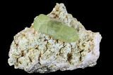 Lustrous, Yellow Apatite Crystal on Feldspar - Morocco #84317-1